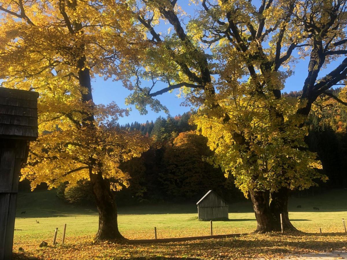 Die Alte Blaa Altaussee Eksteriør bilde